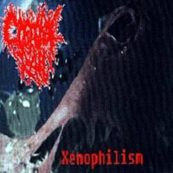 Corporal Raid : Xenophilism
